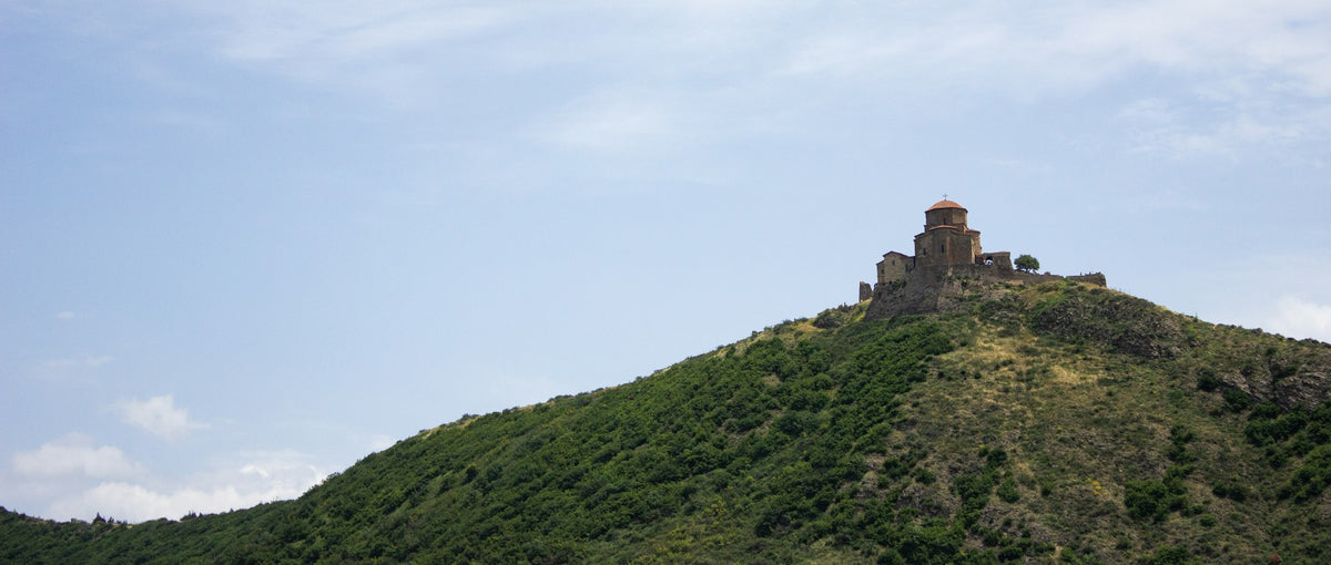 A castle on a green mountainside